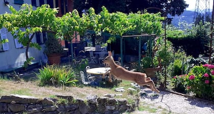 An old country house surrounded by greenery just 9 km from the center of Genoa.