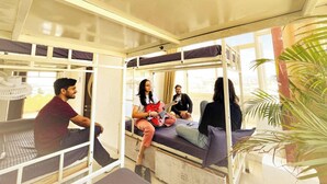 A compact, modern room with bunk beds and a large window. - Mild Life Hostel Udaipur (Udaipur)