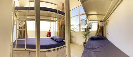 Una habitación pequeña con literas, una guitarra y una planta en maceta.