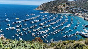A coastal marina with numerous boats docked, surrounded by hills and a small town.
