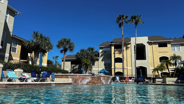 A swimming pool area with lounge chairs and palm trees.