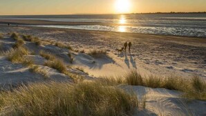 A beach scene with sand dunes and a sunset.