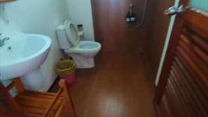 Ducha, secador de pelo, toallas, jabón