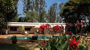 A pool area with lounge chairs, a white building, and red flowers in the foreground. - Ngorongoro Farm House (Karatu)
