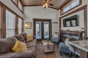 TV, fireplace, books