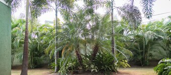 Smart Haven Studios in Kingston