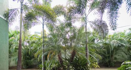 Smart Haven Studios in Kingston