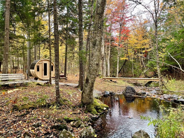 A rustic cabin with a wooden exterior, surrounded by a forest with a small stream. - Private Woodland Tiny House w/ Sauna & Cold Plunge (Saint John)