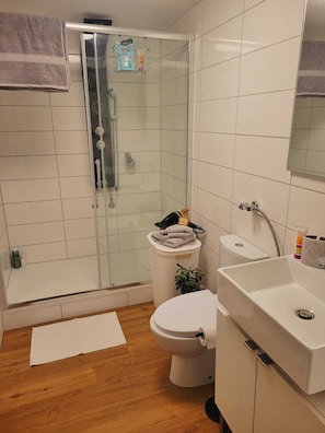 Haartrockner, Handtücher, Seife, Shampoo