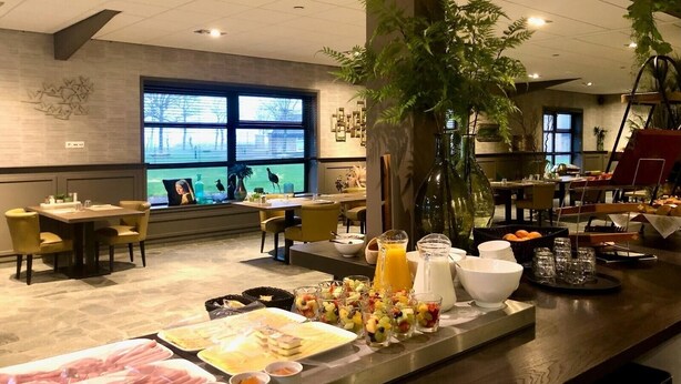 Zona de buffet con diversos alimentos y un ventanal con vistas a árboles.