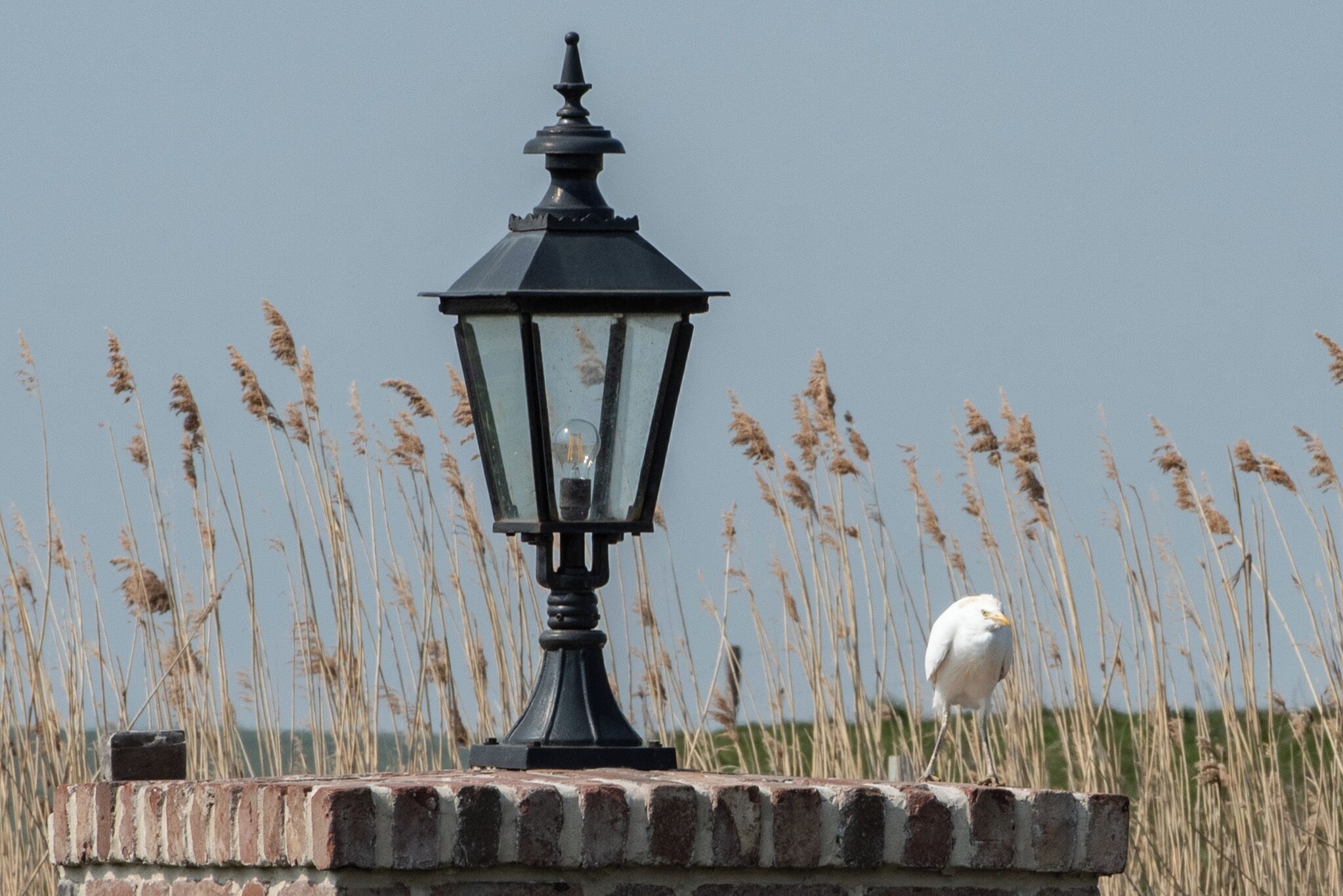 A brick structure with a black lamp post in a field with tall grasses.