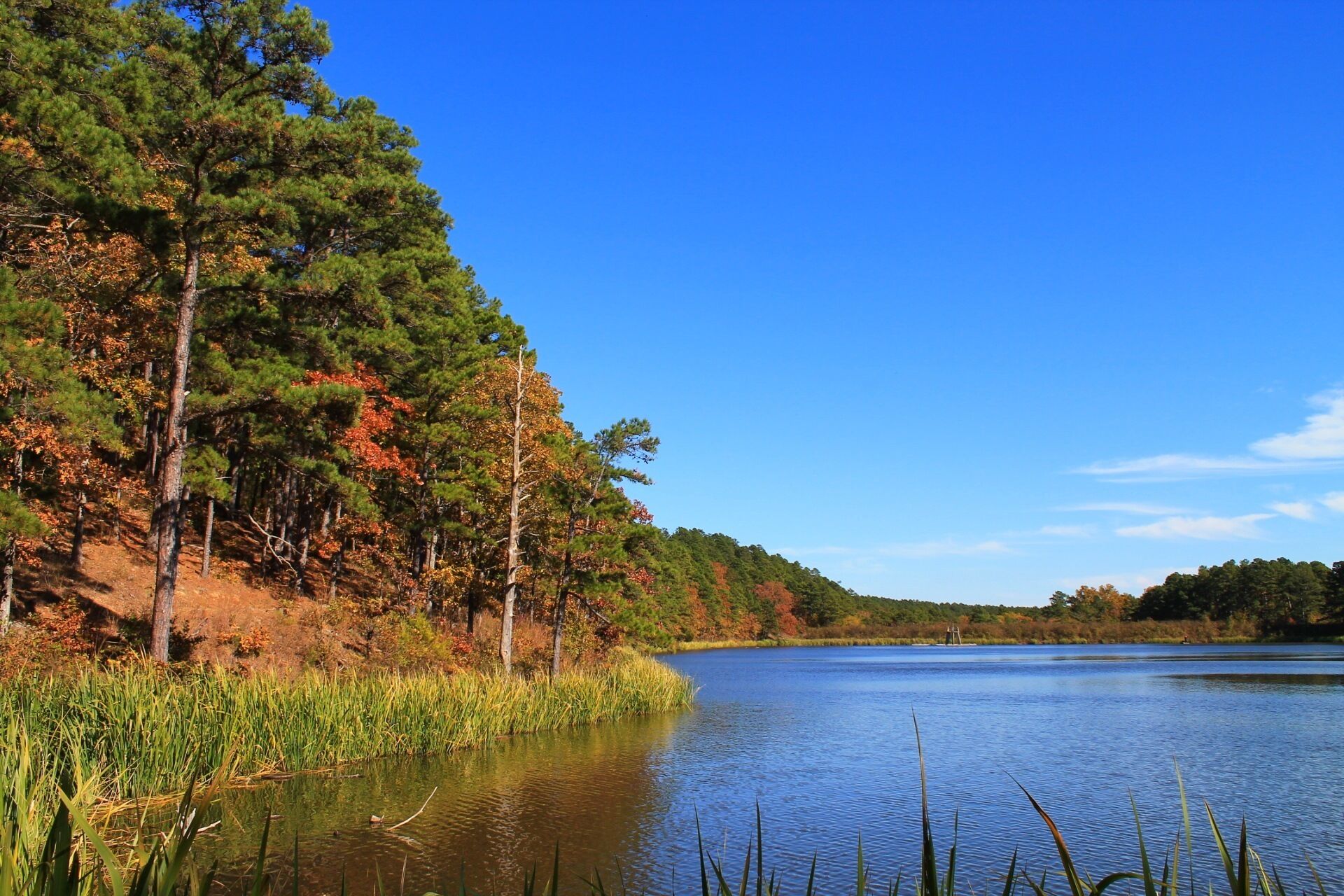 A calm lake surrounded by trees with autumn foliage, a clear sky, and a distant sailboat.