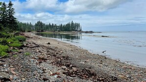 A rocky shoreline with a calm body of water, surrounded by dense forest and a clear sky.