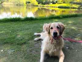 Double Room, Ensuite | Miscellaneous