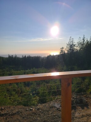 Property grounds - Pacific Ocean View Cabin on 422 Acres Eco Reserve near Shirley and Jordan River (Victoria)