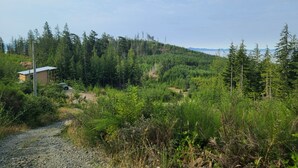 A rural landscape with a gravel path, dense forest, and a small building with a metal roof.