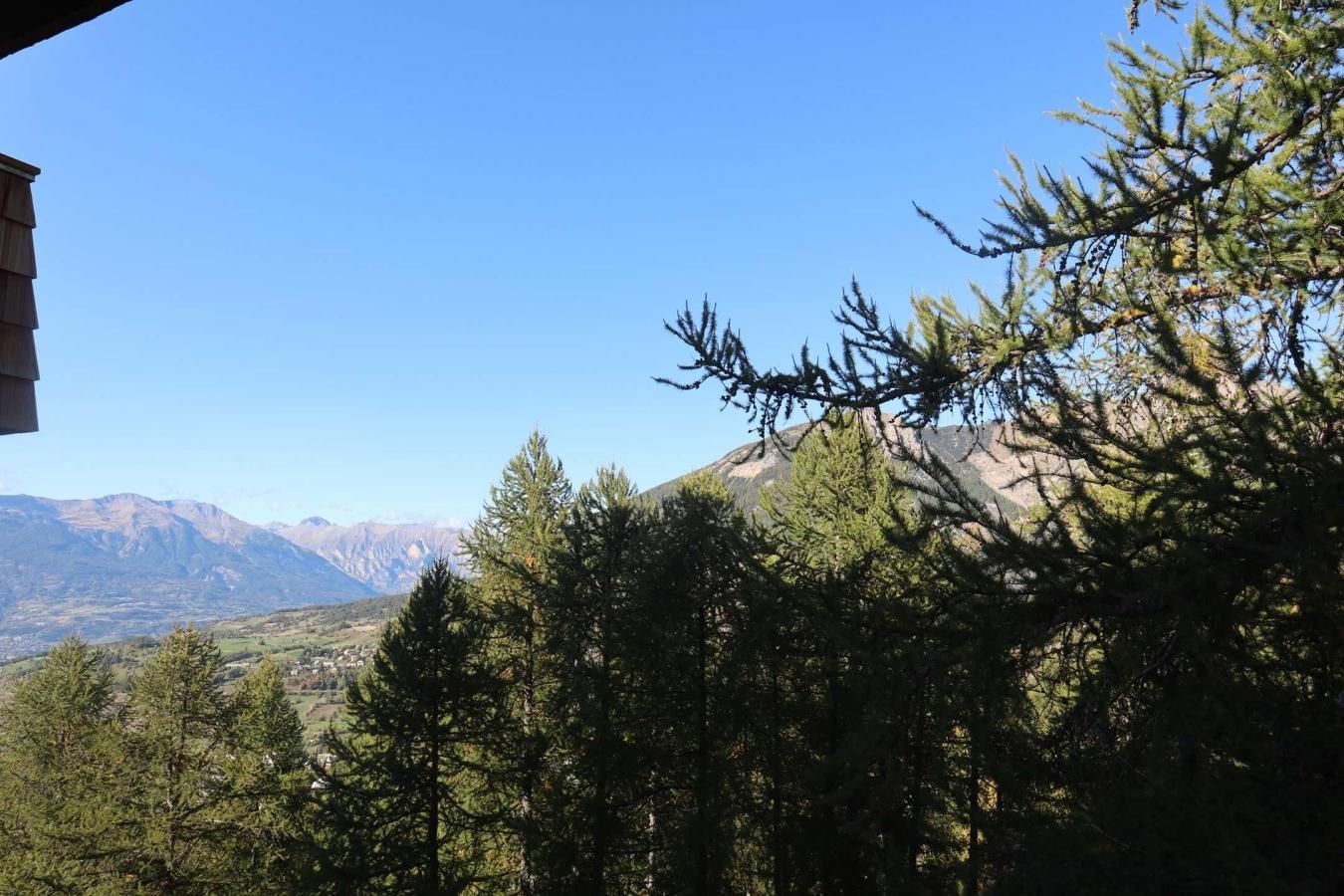 Un paisaje montañoso con un denso bosque en primer plano y un cielo despejado.