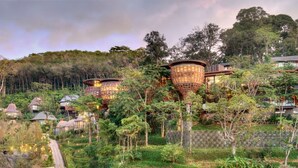 A resort with thatched-roof cottages nestled in a lush forest, surrounded by greenery and a small water feature.