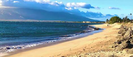 Sun-loungers, beach towels