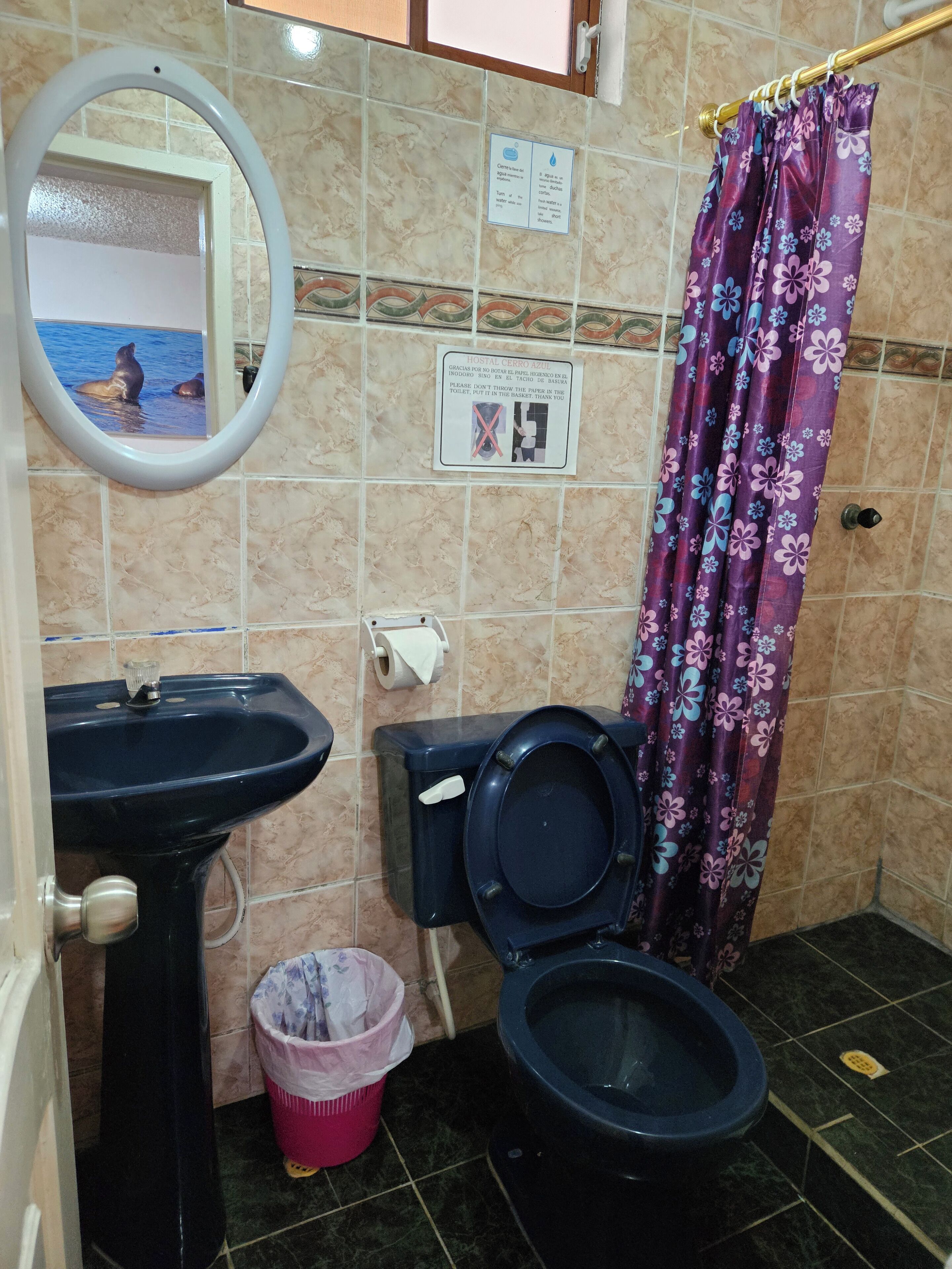 A bathroom with a sink, toilet, and a mirror. There is a trash bin and a curtain.