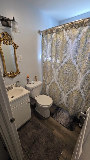 Hair dryer, towels, soap, shampoo - Charming 1-bedroom house in pleasant Homosassa with AC, WiFi Quiet close to all! (Homosassa)