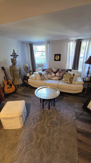 Smart TV, books, printers