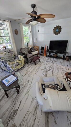 TV connectée, livres, imprimantes