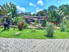 Un jardín con un sendero pavimentado, diversas plantas y estructuras de piedra.