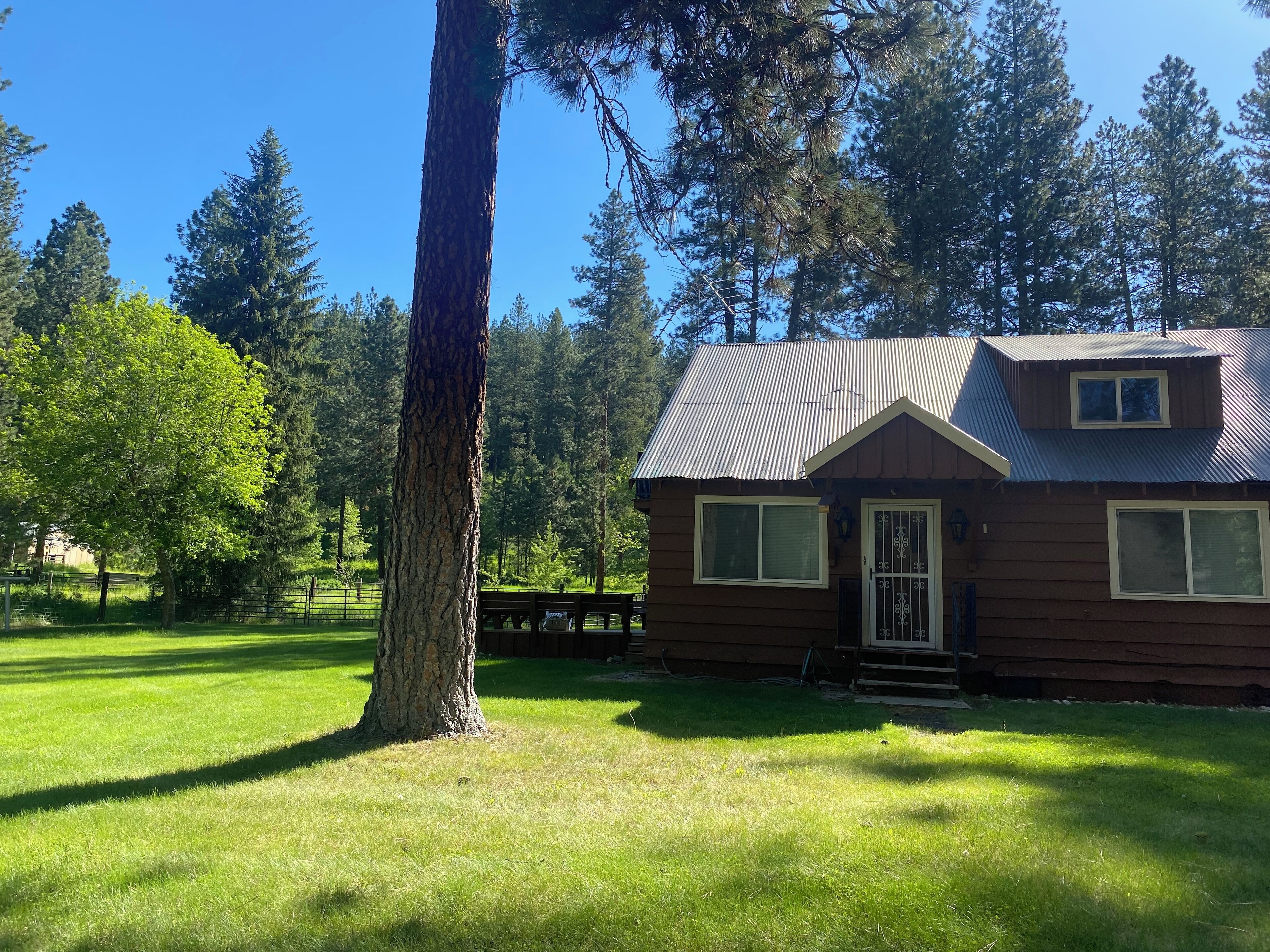 A small cabin with a metal roof, surrounded by a grassy yard and tall trees.