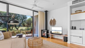 TV connectée, cheminée