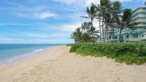 A beach with a sandy shore, palm trees, and a building with a green roof in the background.