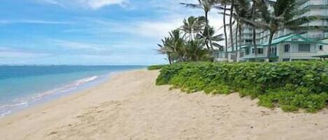 A beach with a sandy shore, palm trees, and a building with a green roof in the background.