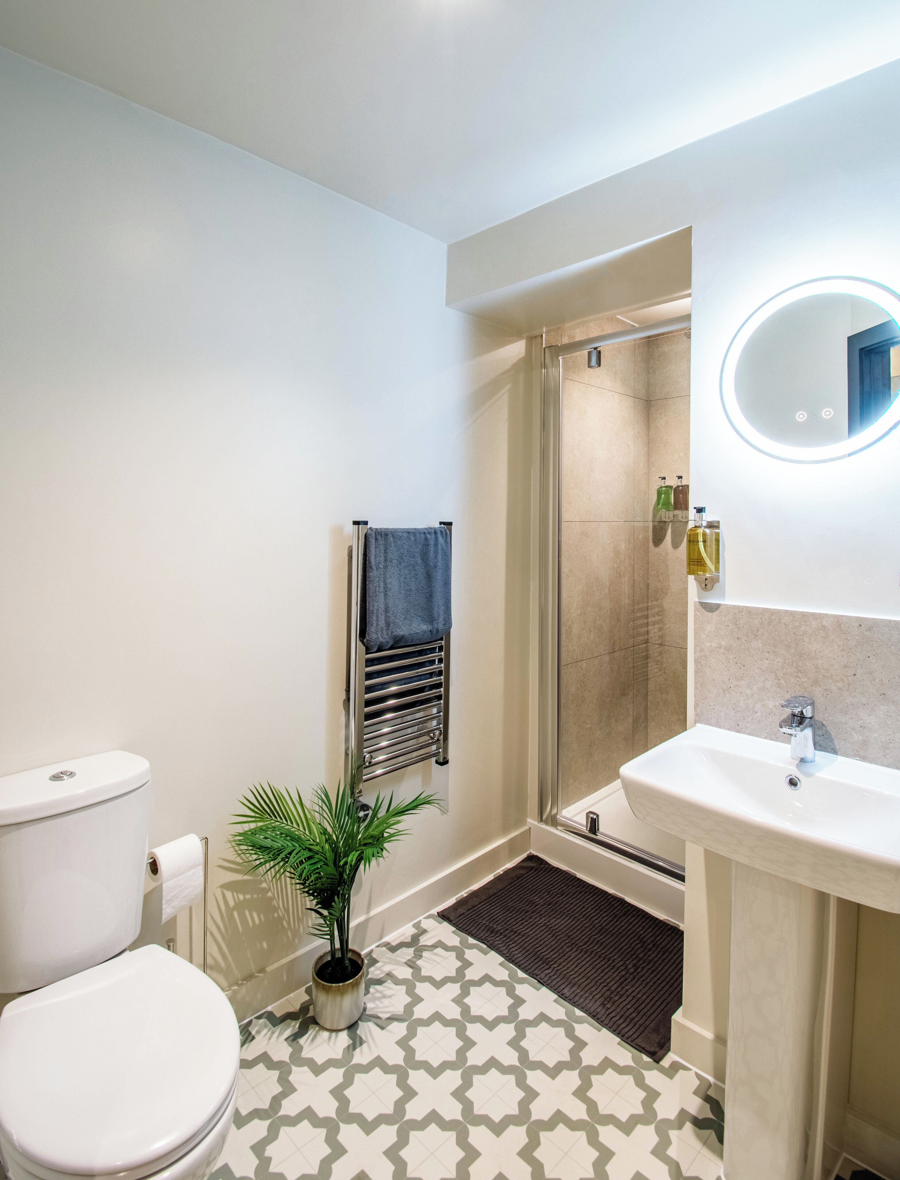 Een moderne badkamer met toilet, wastafel, douche en een kamerplant.