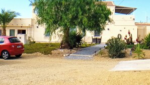 A building with a paved driveway, a red car parked in front, and a large tree in the center.