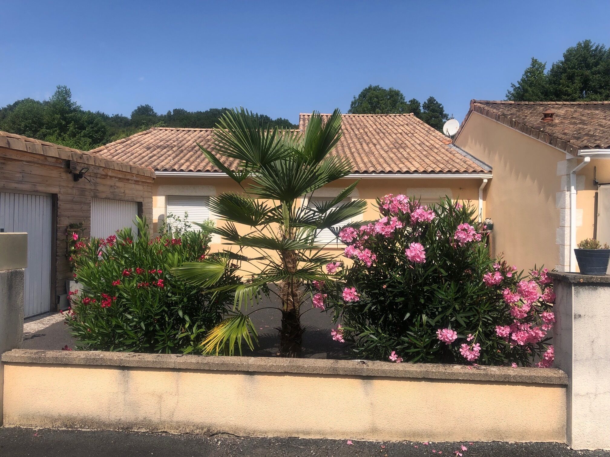 Terrein van de accommodatie