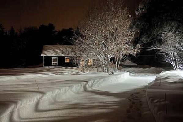 Winter view. 