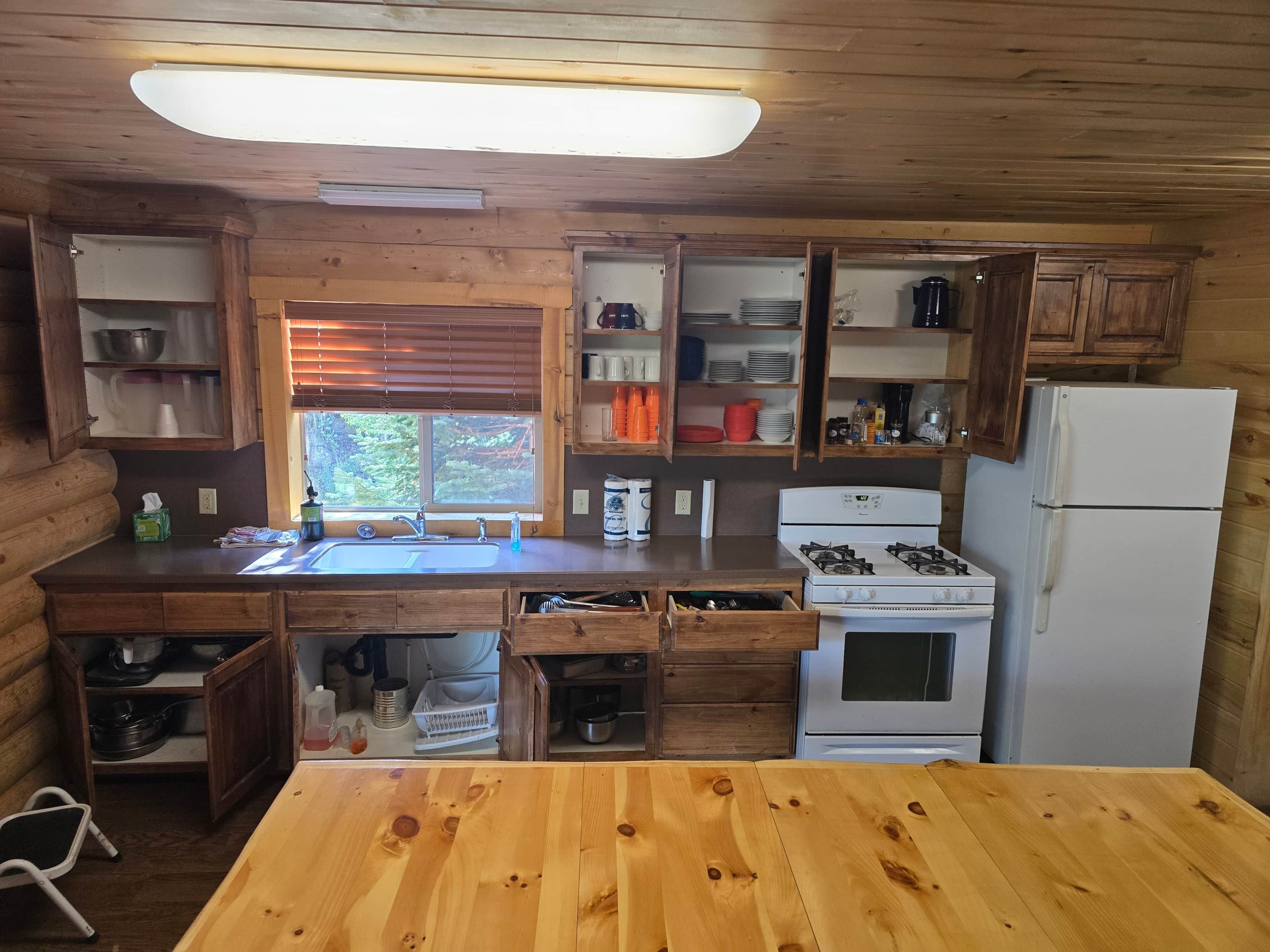 Une cuisine rustique, aménagée dans une cabane en bois, avec un évier, une cuisinière et un réfrigérateur.