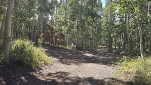 A forested path leading to a red building.