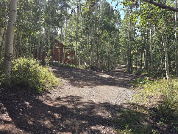 A forested path leading to a red building. - Camp Jackson Group Pavilion with cooking area (Monticello)
