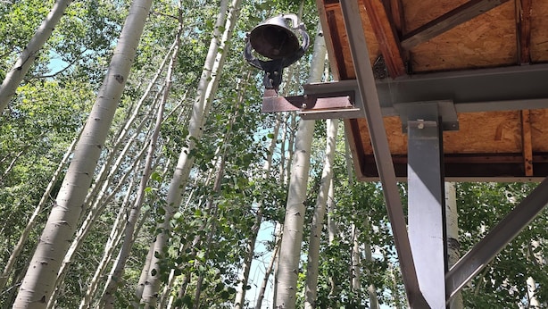 A wooden structure with a metal bell mounted on a pole, surrounded by tall birch trees.