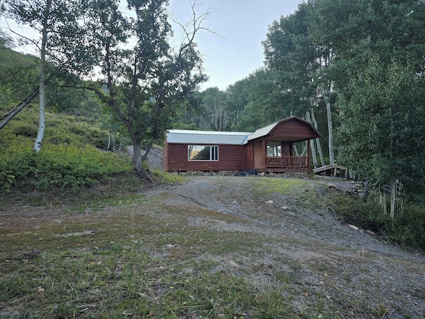 Een rustieke hut met een veranda, omringd door dicht bos.