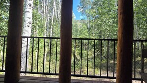 A wooden deck with a metal railing overlooking a forested area. - Camp Jackson Family Cabin (San Juan County)