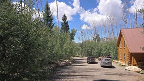 A gravel road leading to a log cabin with a metal roof, surrounded by dense forest.