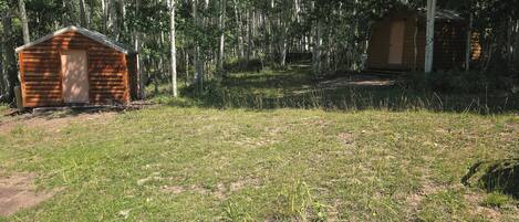 A wooden cabin in a forested area with a grassy yard.