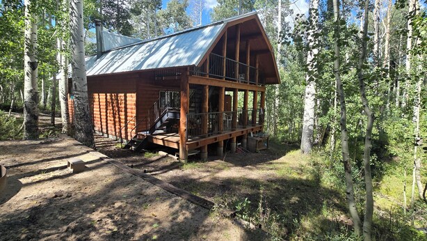 A wooden cabin with a metal roof, surrounded by trees.