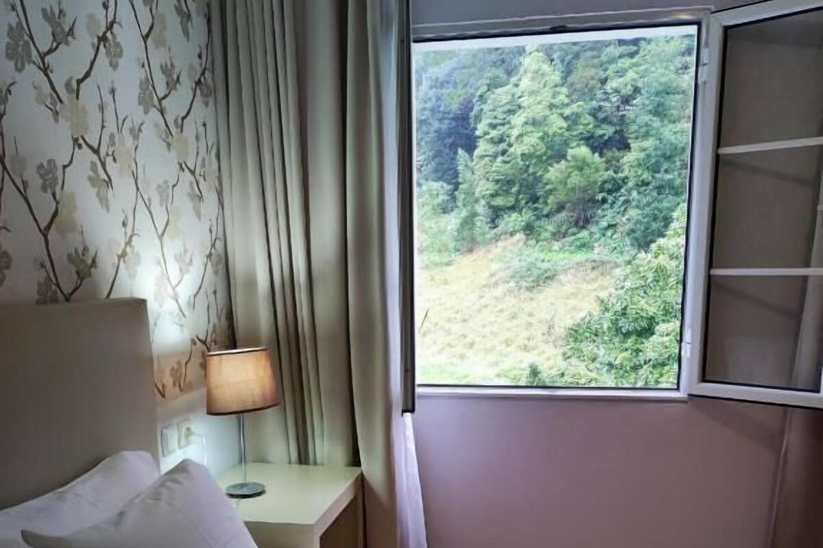 A room with a bed, a nightstand, a lamp, and a window with a view of greenery.