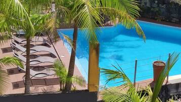 Ein Swimmingpool, umgeben von Palmen und Liegestühlen.