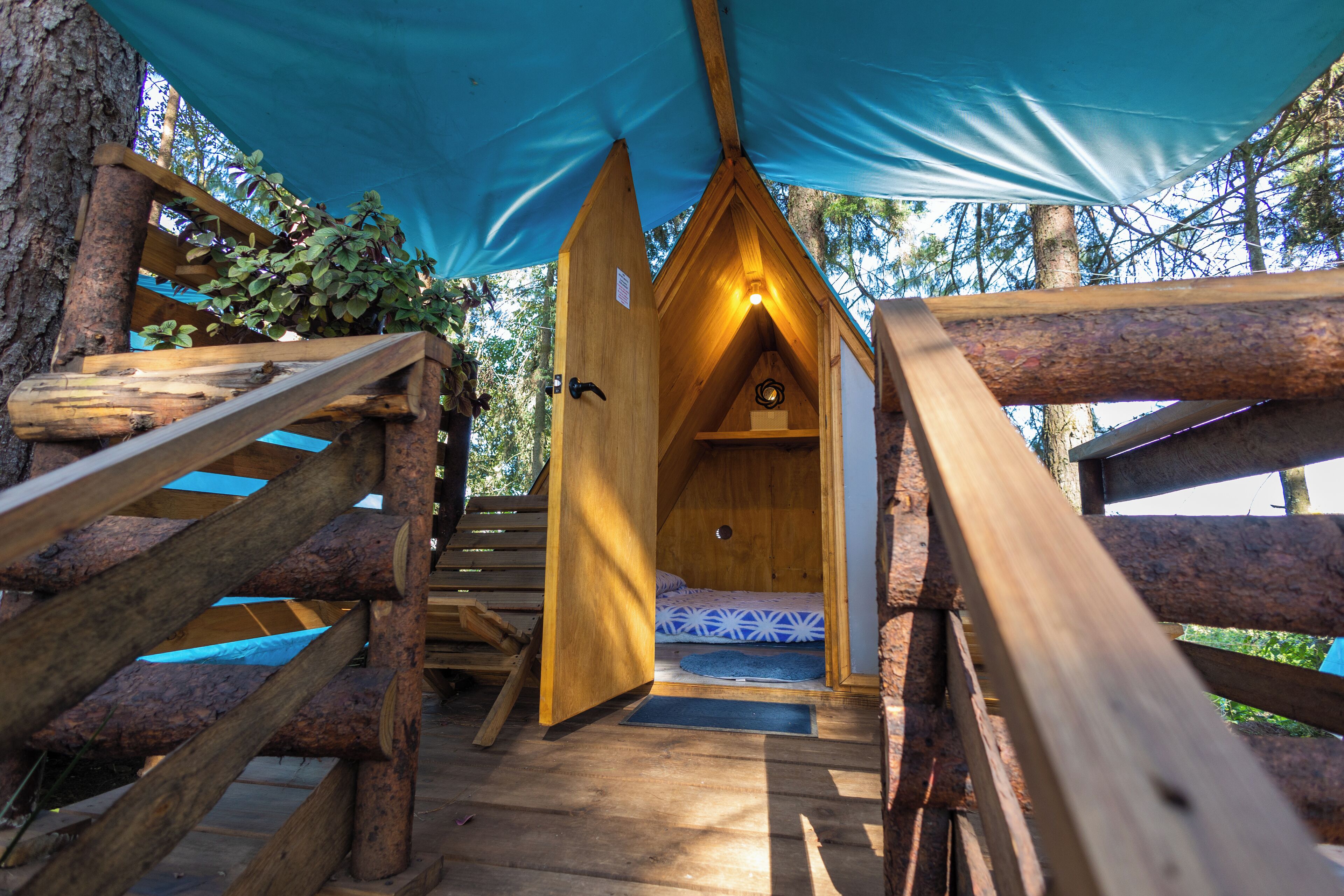 City Tent | Terrace/patio