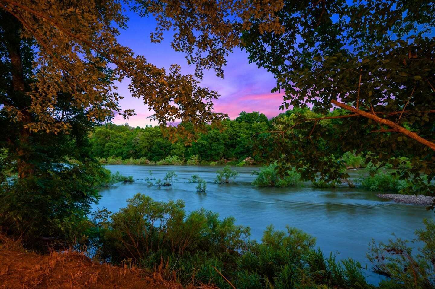 A river surrounded by dense foliage and trees.