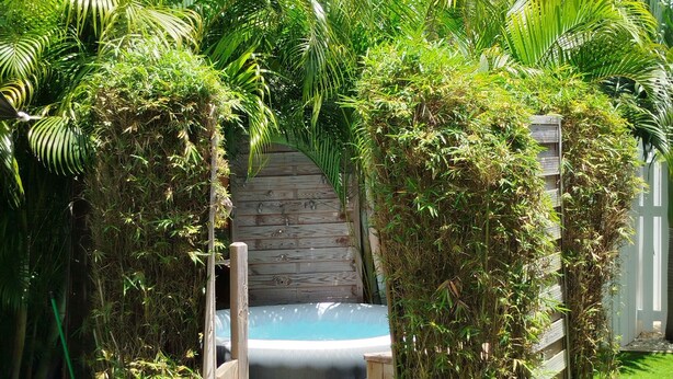Un bain à remous entouré d’une végétation tropicale luxuriante, avec une terrasse en bois et un mur en bois en arrière-plan.